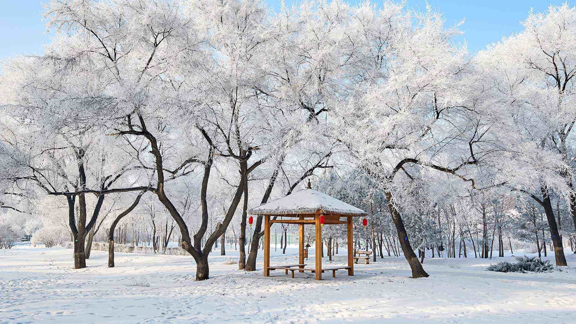 美丽的雾凇景色